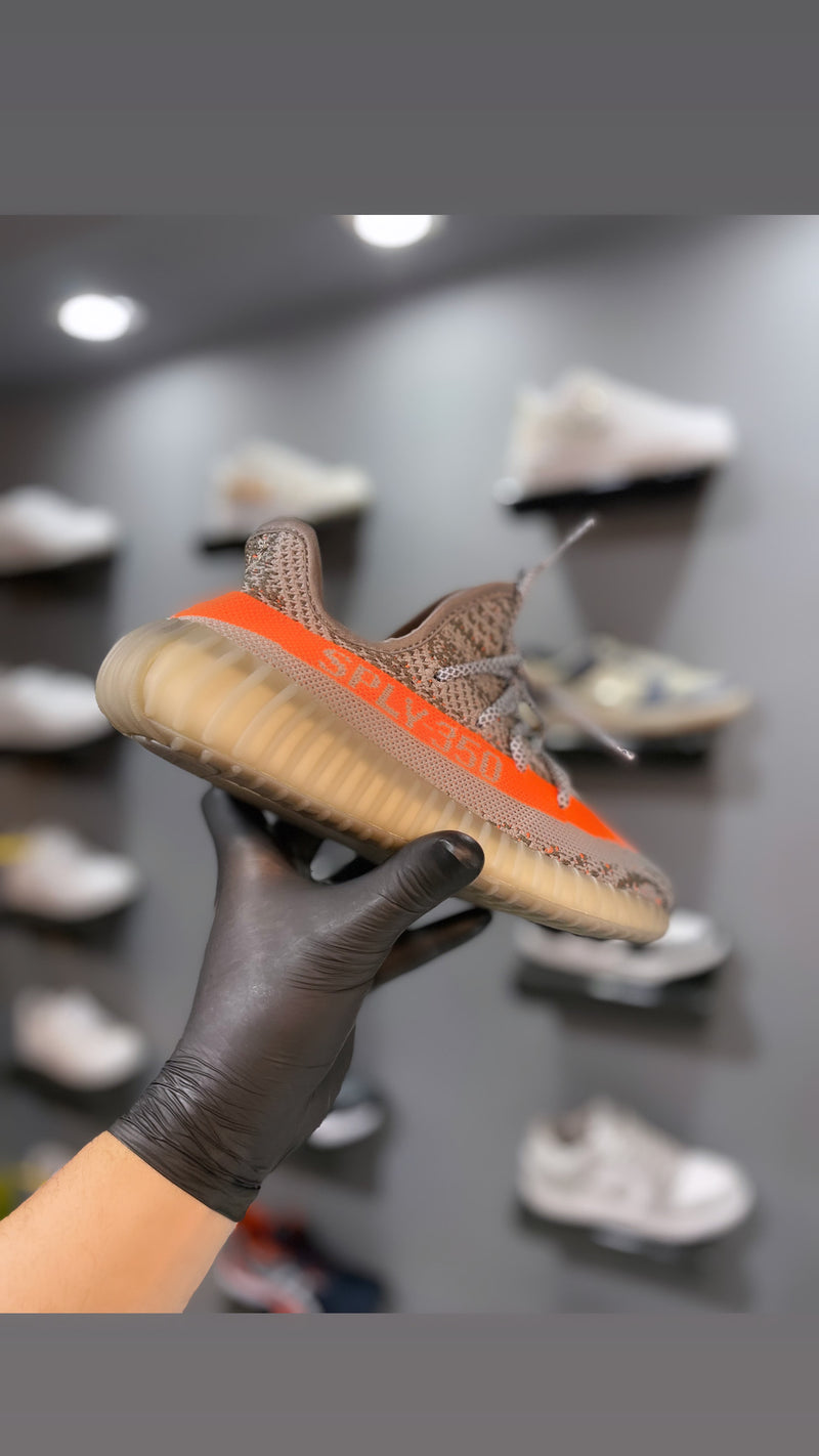 Yeezy boost beluga